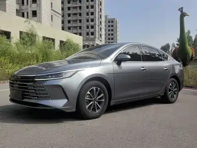 BYD Destroyer 05 2024