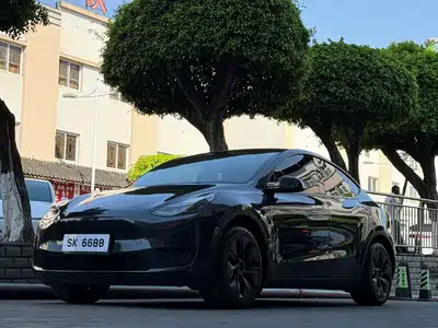 Tesla Model Y 2024