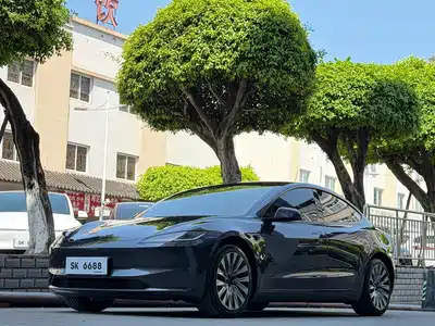 Tesla Model 3 2025