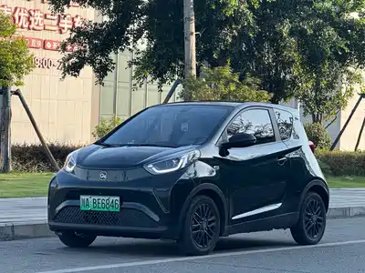 QQ New Energy Little Ant 2024