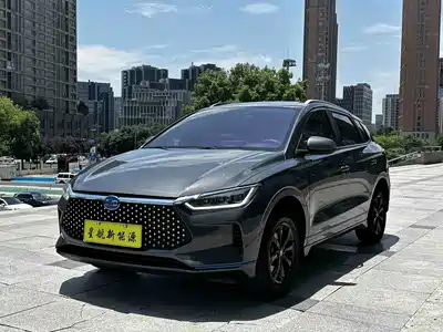 BYD e2 2021