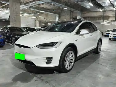 Tesla Model X 2019