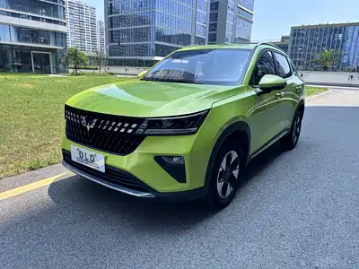 Wuling Motors Xingchi 2022