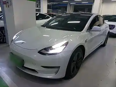Tesla Model 3 2020