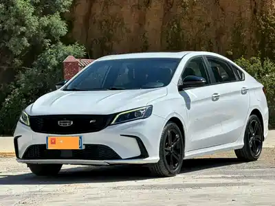 Geely Binrui 2021
