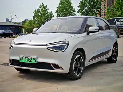 Dongfeng Yipai Nano 01 2025