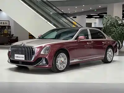 Hongqi Guoya 2024