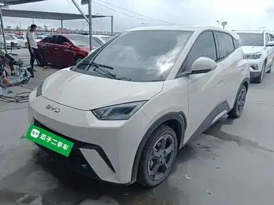 BYD Seagull 2024