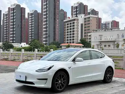 Tesla Model 3 (Import) 2019