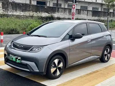 BYD Dolphin 2024