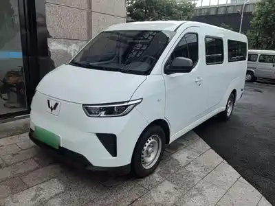 Wuling Motors Yangguang 2025