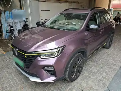 Roewe RX5 New Energy 2020