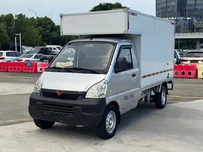Wuling Motors Rongguang Mini Truck 2022