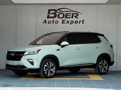 Wuling Motors Xingchen 2022