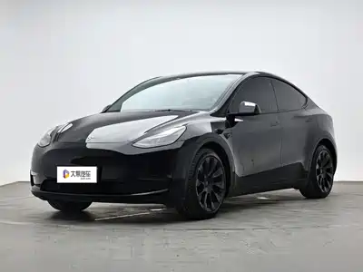 Tesla Model Y 2021