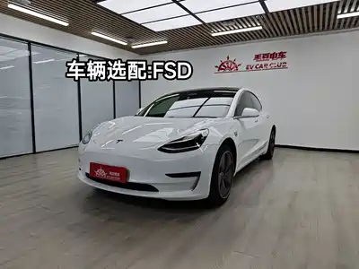 Tesla Model 3 (Import) 2019