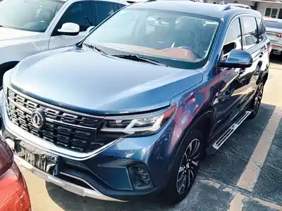 Dongfeng Fengxing T5 2019