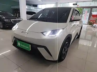 BYD Seagull 2025