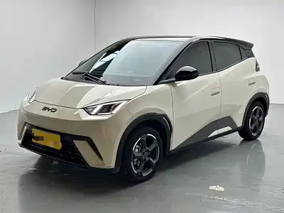 BYD Seagull 2024