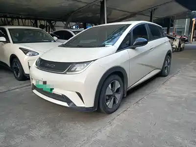 BYD Dolphin 2023