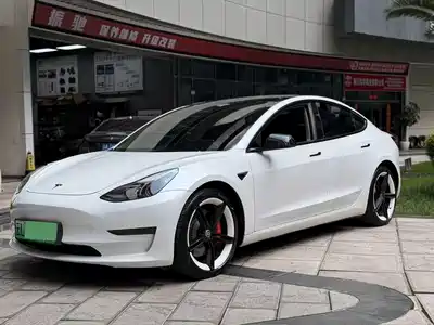 Tesla Model 3 2021