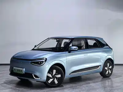 Dongfeng Yipai Nano 01 2024