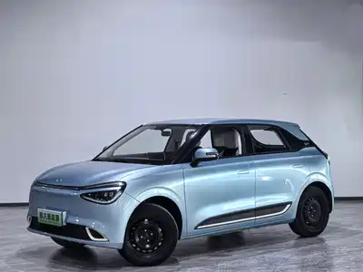 Dongfeng Yipai Nano 01 2024