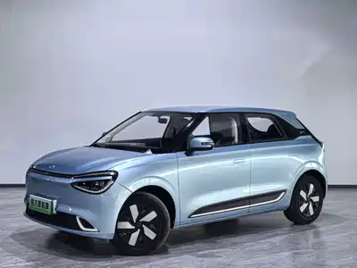 Dongfeng Yipai Nano 01 2024