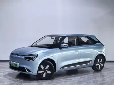 Dongfeng Yipai Nano 01 2024