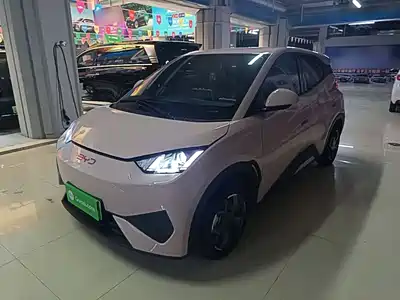 BYD Seagull 2025