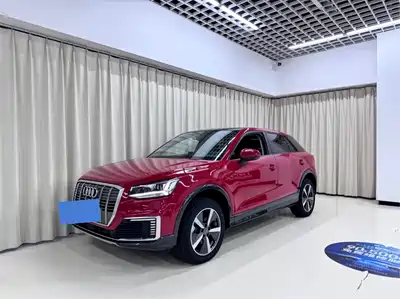 Audi Q2L e-tron 2020