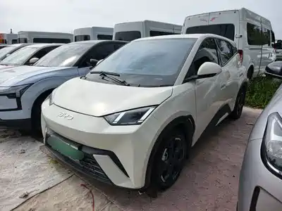 BYD Seagull 2025