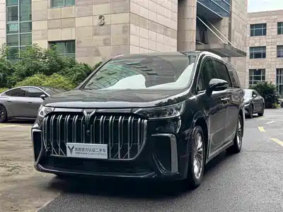 Voyah Auto Dreamer 2024