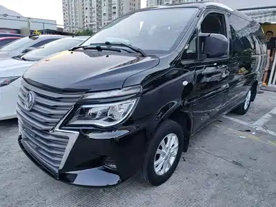 Dongfeng Fengxing Lingzhi 2020