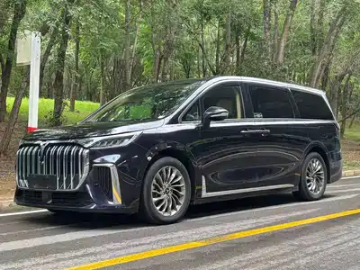 Voyah Auto Dreamer 2022