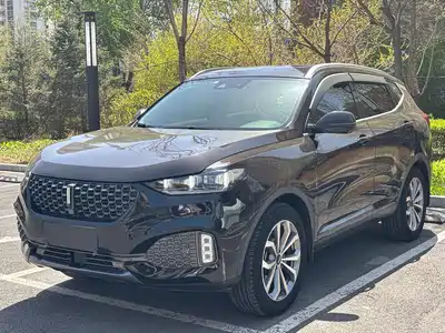 WEY VV6 2020