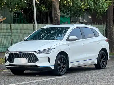 BYD e2 2020
