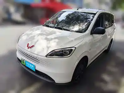 Wuling Motors Hongguang New Energy 2025