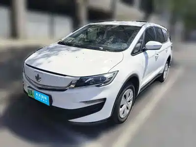 Ruilan Auto Maple 80v L 2025