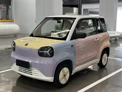 Zhido Rainbow 2024