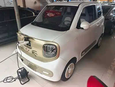 Besturn Pony 2024