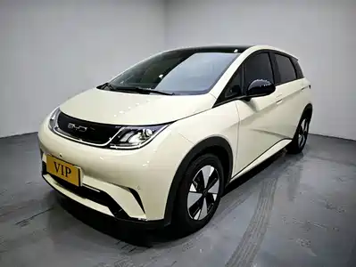 BYD Dolphin 2024