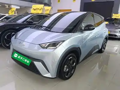 BYD Seagull 2024