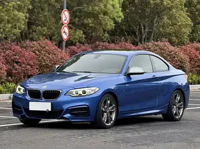 BMW 2 Series (Import) 2016