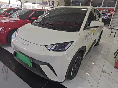 BYD Seagull 2024