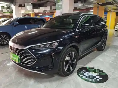BYD Tang New Energy 2024