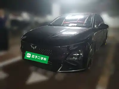 Wuling Motors Starlight 2024
