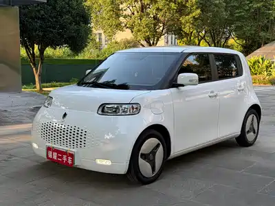 Ora White Cat 2020