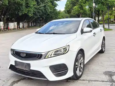 Geely Binrui 2019