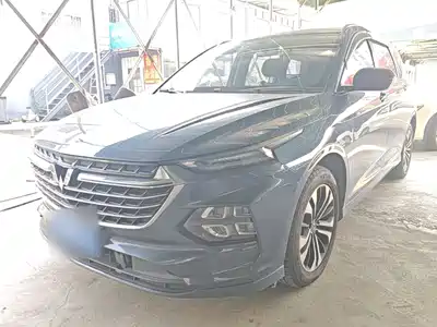 Wuling Motors Victory 2020